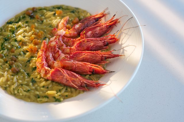 Orzo pasta in a green herb sauce, fanned with whole red shrimps, in a wide white bowl